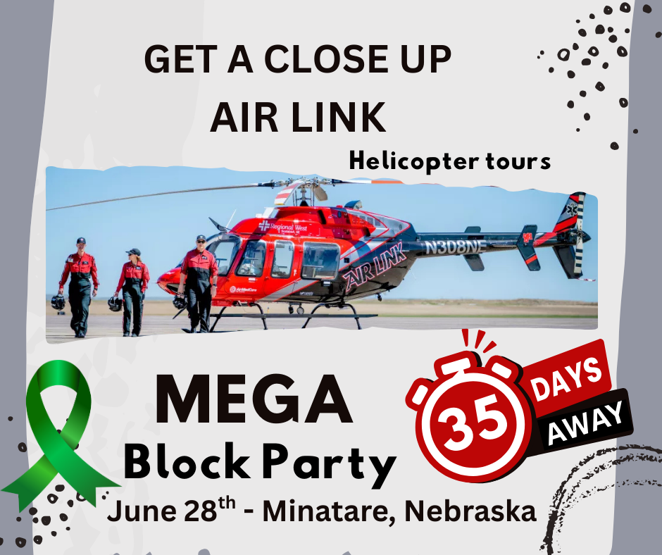 MEGA Block Party
