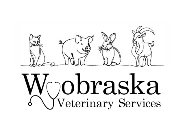 Wyobraska Veterinary Services